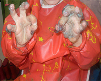 Day Nursery Gallery Photo 23